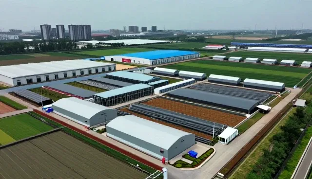 定制服务在技术为基中的实际应用分析